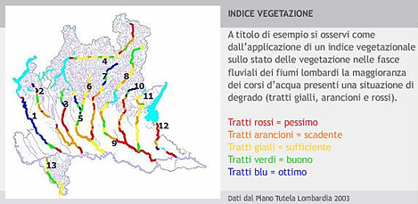 veg_riparia_lombardia