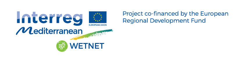 LOGO_ERDF_WETNET-En