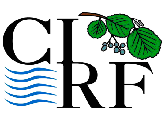 logo cirf
