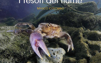 “I tesori del fiume”, di Marco Colombo.