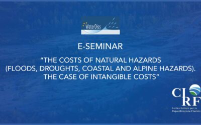 E-seminar “The Costs of Natural Hazards (floods, droughts, coastal and alpine hazards). The case of intangible costs”