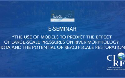 E-seminar “The use of models to predict the effect of large-scale pressures on river morphology, biota and the potential of reach-scale restoration”