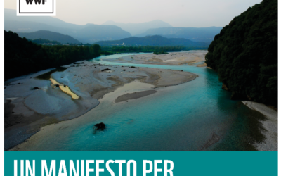 Il CIRF aderisce al “Manifesto per difendere il Tagliamento”