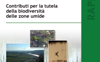 ISPRA: “Contributi per la tutela della biodiversità delle zone umide”