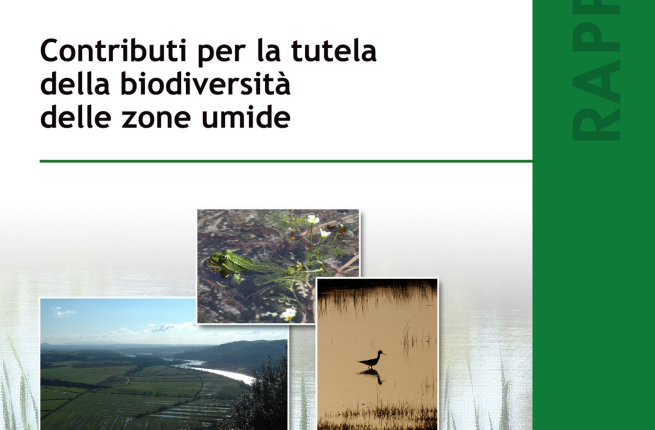 Contributi per la tutela della biodiversità delle zone umide