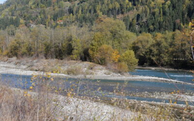 Nel Fiume Piave NON c’è troppa ghiaia