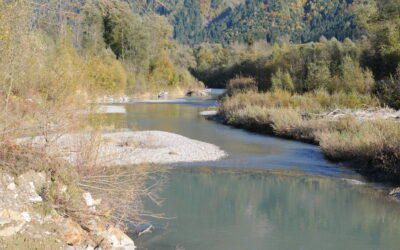 Seminario “Sediment budgets and geomorphology of Amazon floodplains: environmental implications” – Università di Trento – 25 settembre 2017