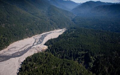 National Geographic: il fiume rivive dopo la più grande rimozione di una diga nella storia degli Stati Uniti