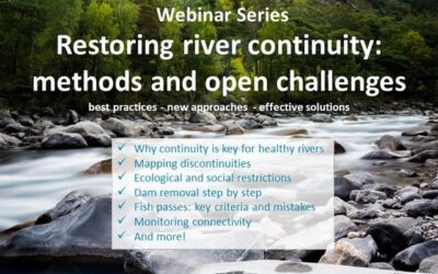 E-seminar ‘Restoring river continuity: methods and open challenges’ – 28 novembre 2017
