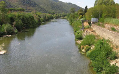 Fiume Arno: come è andato il monitoraggio estivo