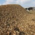 Dossier LIPU “Fiumi in fumo” – Taglio indiscriminato di vegetazione lungo i fiumi