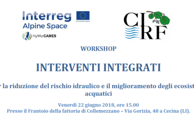 WORKSHOP INTERVENTI INTEGRATI – 22 Giugno 2018