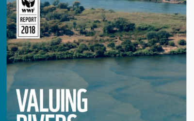 Valuing Rivers – Report WWF sul valore dei fiumi