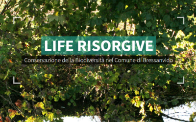 Progetto di alternanza scuola-lavoro LIFE RISORGIVE!