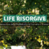 Progetto di alternanza scuola-lavoro LIFE RISORGIVE!