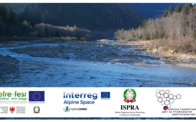 8-9 Novembre (Bolzano) workshop “Sediment management in channel networks: from measurements to best practices”
