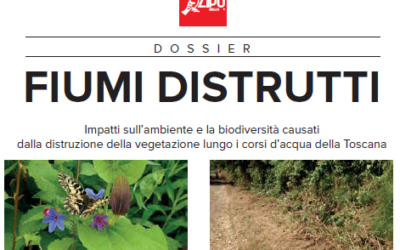 Dossier LIPU sui fiumi toscani