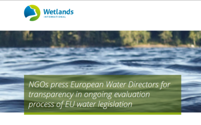 Living Rivers Europe chiede trasparenza agli Stati Membri nella fase di valutazione della WFD