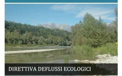 DIRETTIVA DEFLUSSI ECOLOGICI – Alpi Orientali