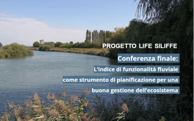 Progetto LIFE SILIFFE – Conferenza finale 30 Novembre Treviso