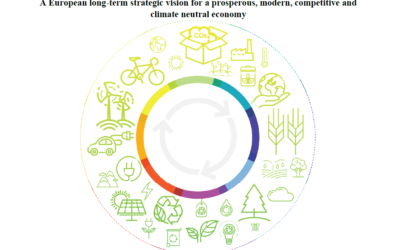 Nuova comunicazione CE “A Clean Planet for all”