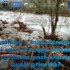 Gestione e manutenzione dei corsi d’acqua montani nel contesto post-alluvione – 28 gennaio 2019