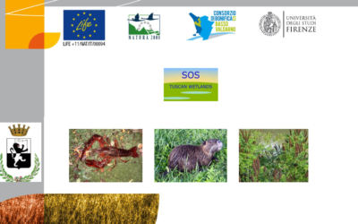 Convegno finale Progetto Life “SOS Tuscan Wetlands” – 19 febbraio 2019 (Fucecchio)