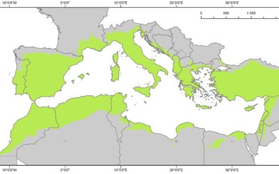 Sondaggio sulle Zone Umide Mediterranee – Aperto fino al 7 giugno 2019