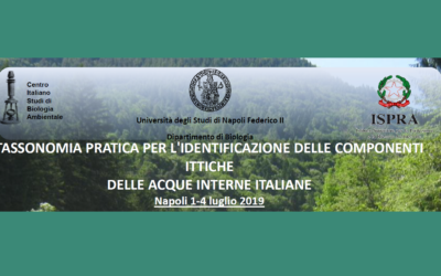 TASSONOMIA PRATICA PER L’IDENTIFICAZIONE DELLE COMPONENTI ITTICHE DELLE ACQUE INTERNE – 1-4 luglio a Napoli