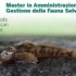 Gestione della fauna ittica autoctona di acqua dolce in Italia – 14 giugno a Mestre