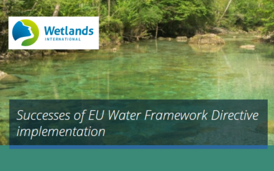 Report di Wetlands sulle misure della WFD