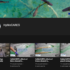 Canale youtube PROGETTO HYMOCARES