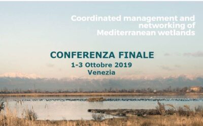 Progetto Interreg Med WETNET – CONFERENZA FINALE – 1-3 ottobre 2019