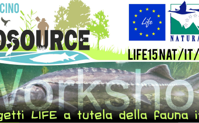 BioLife – Progetti LIFE a tutela della Fauna Ittica – 4 ottobre 2019 (MI)