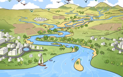 Come possiamo migliorare la gestione dei nostri fiumi? – una video-animazione realizzata dal CIRF nel progetto HyMoCARES