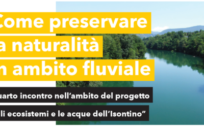 Come preservare la Naturalità in ambito fluviale – 29 novembre Pieris (GO)