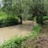 Piemonte, corridoio verde lungo il Torrente Tiglione dalla sorgente alla confluenza nel Fiume Tanaro