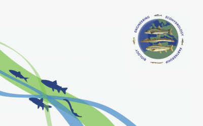 Conferenza Internazionale Fish Passage 2020 – dal 28 giugno al 3 luglio (Lisbona)