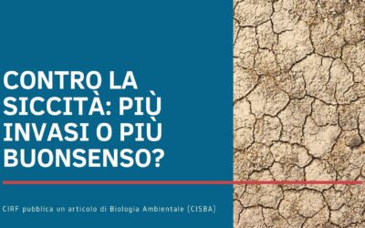 Contro la siccità: più invasi o più buonsenso?