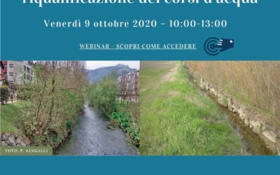Invito webinar 9 ottobre 2020: L’ingegneria naturalistica per la riqualificazione dei corsi d’acqua