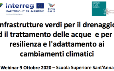 9 ottobre 2020 – Webinar Infrastrutture verdi per il drenaggio ed il trattamento delle acque e per la resilienza e l’adattamento ai cambiamenti climatici