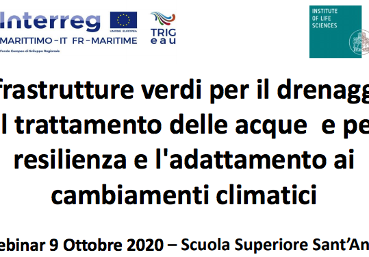 Infrastrutture verdi per il drenaggio ed il trattamento delle acque e per la resilienza e l'adattamento ai cambiamenti climatici