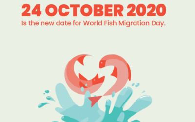 Giornata Mondiale della Migrazione dei pesci 2020