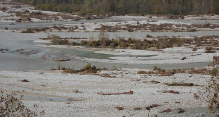 fiume in buona salute