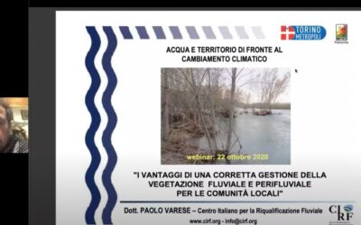 Il webinar “I vantaggi di una corretta gestione della vegetazione fluviale e perifluviale” – è online