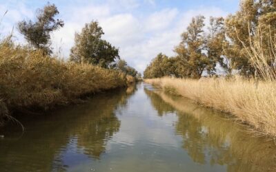 Greenchange: casi pilota per la replicabilità nei territori agricoli