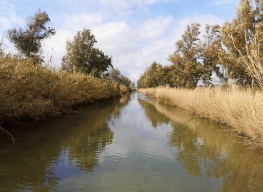canale di bonifica - caso pilota per la transizione ecologica dei territori agricoli