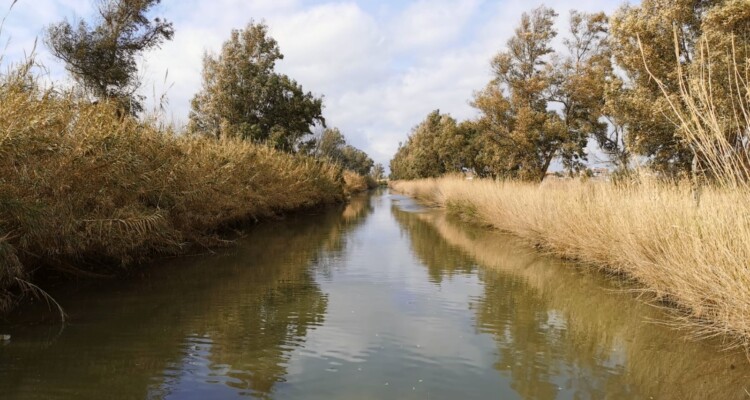 canale di bonifica - caso pilota per la transizione ecologica dei territori agricoli