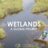 Giornata mondiale delle zone umide: video di Fundación Global Nature