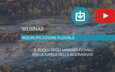 Il ruolo degli ambienti fluviali per la tutela della biodiversità: sono online le presentazioni e il video del webinar